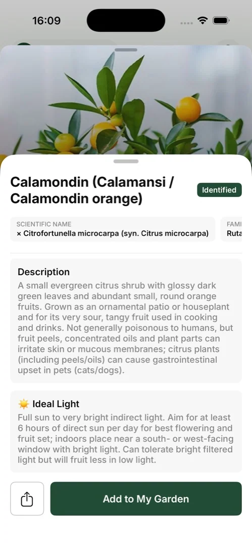 GO AI Plant result identifying a plant with species and care information