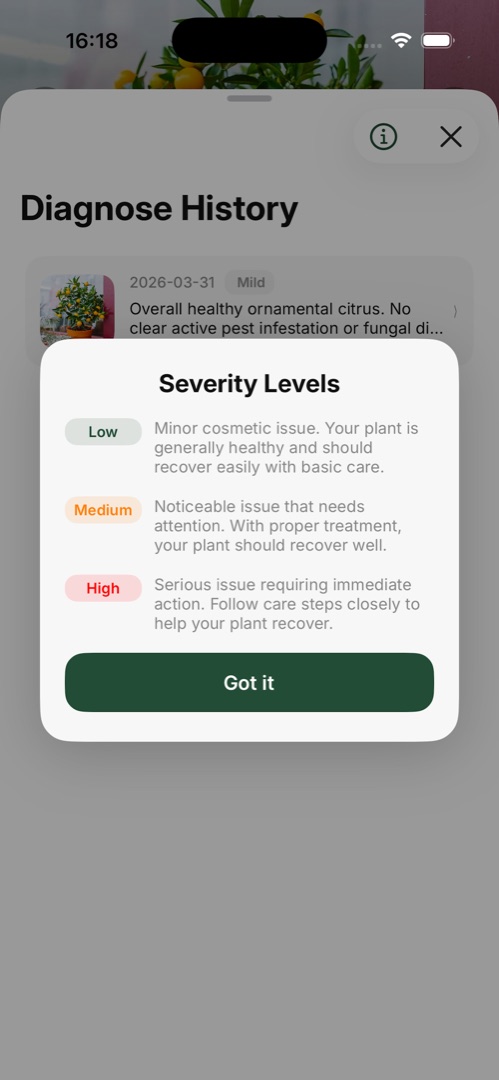 Plant health result showing diagnosis severity and guidance