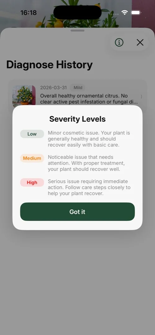 Plant health result showing diagnosis severity and guidance